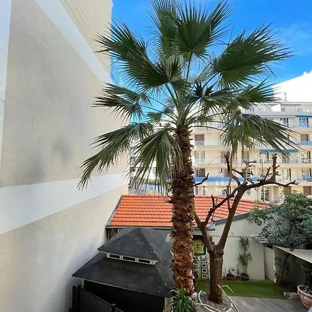 Apartman De Luxe Dans Le Centre D'antibes *